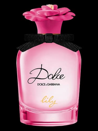 Dolce Lily Dolce&Gabbana