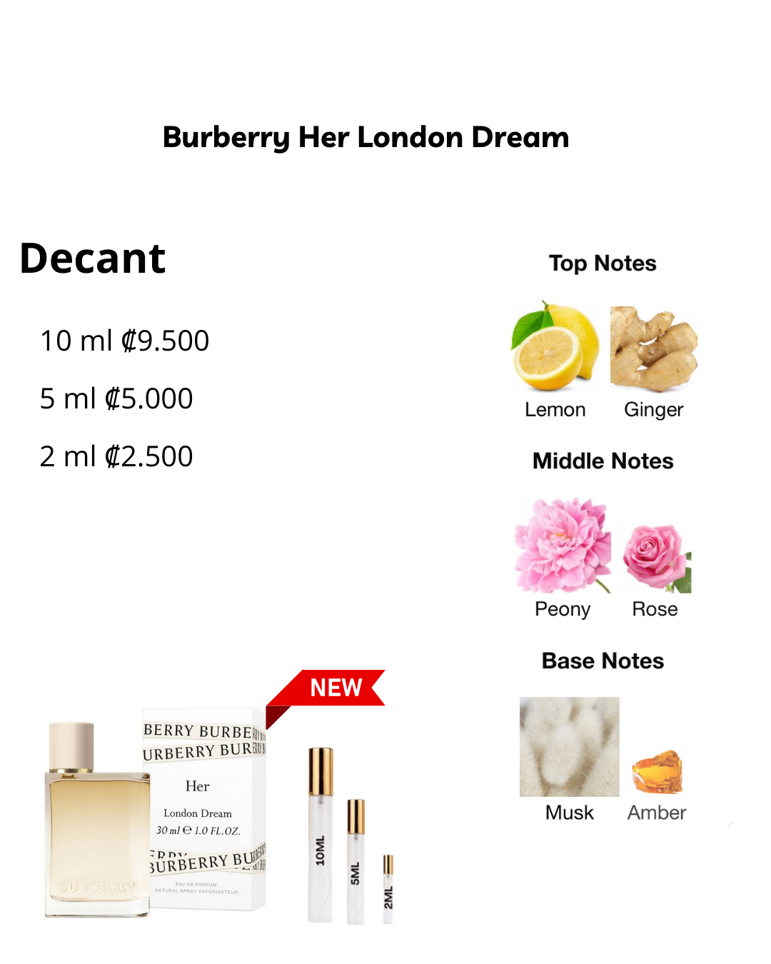 Perfil olfativo de Aura Loewe Pink Magnolia Loewe