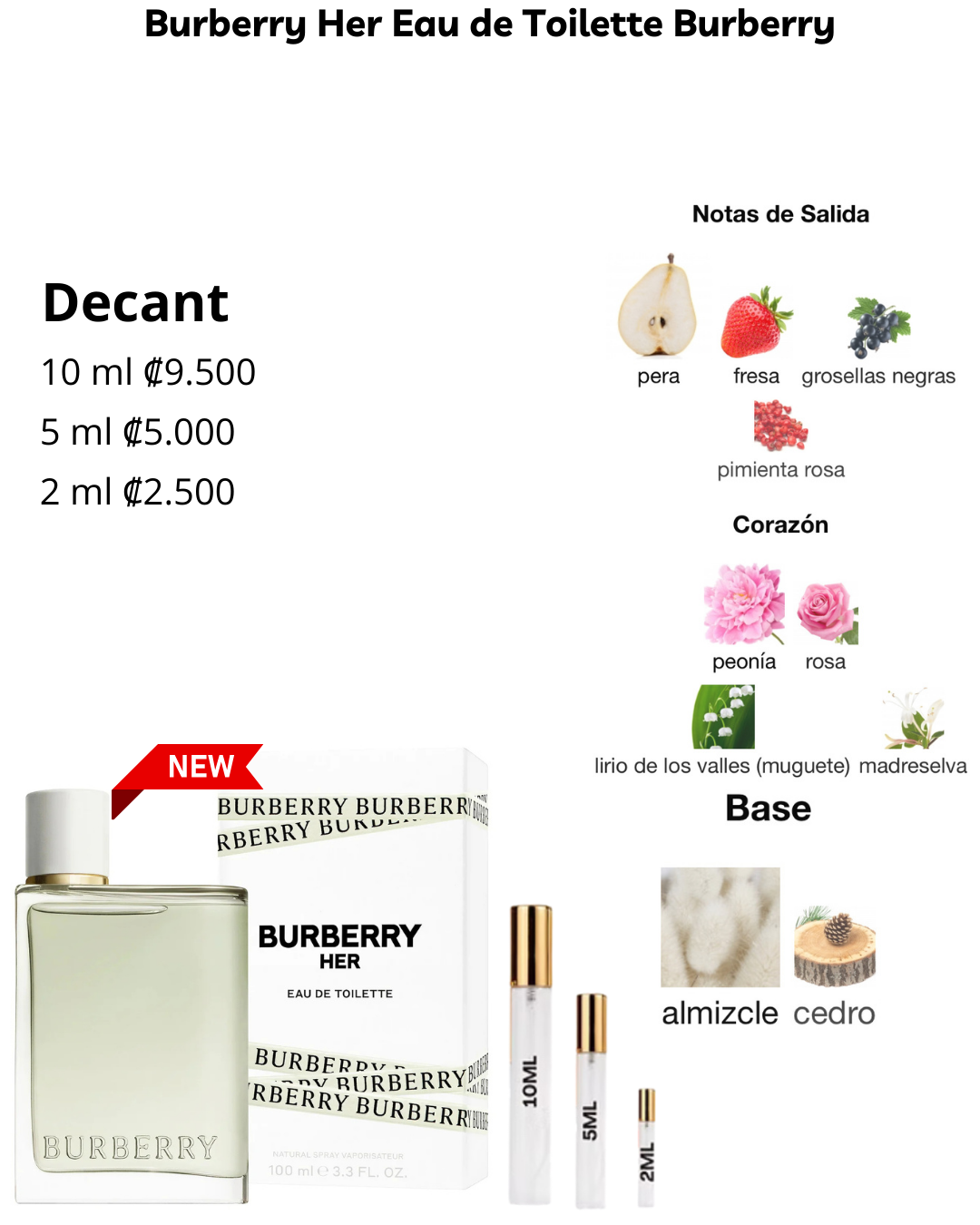 Perfil olfativo de Burberry Her Eau de Toilette Burberry