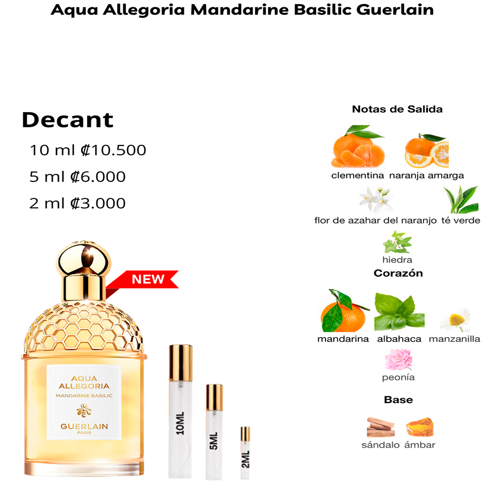 Perfil olfativo de Aqua Allegoria Mandarine Basilic Guerlain