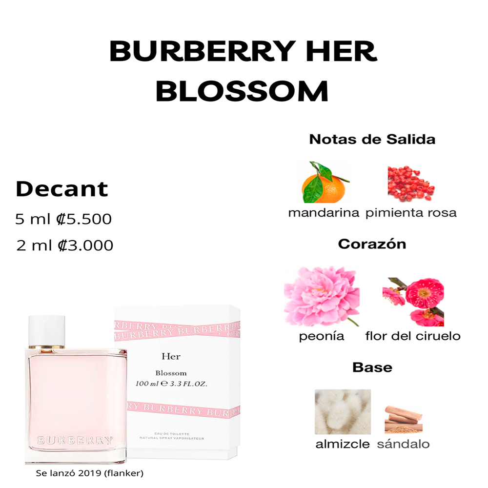 Perfil olfativo de BURBERRY HER BLOSSOM
