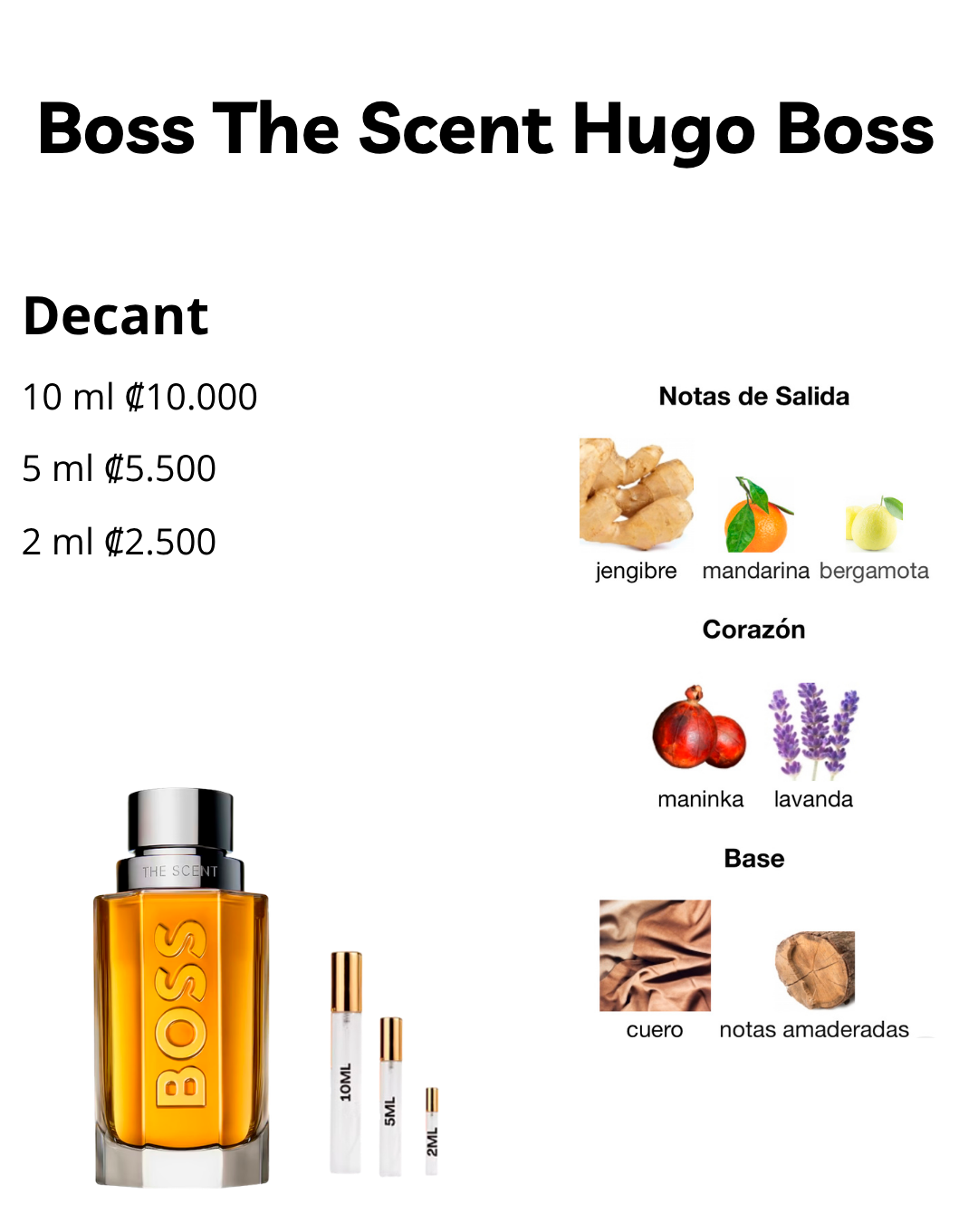 Perfil olfativo de Boss The Scent Hugo Boss