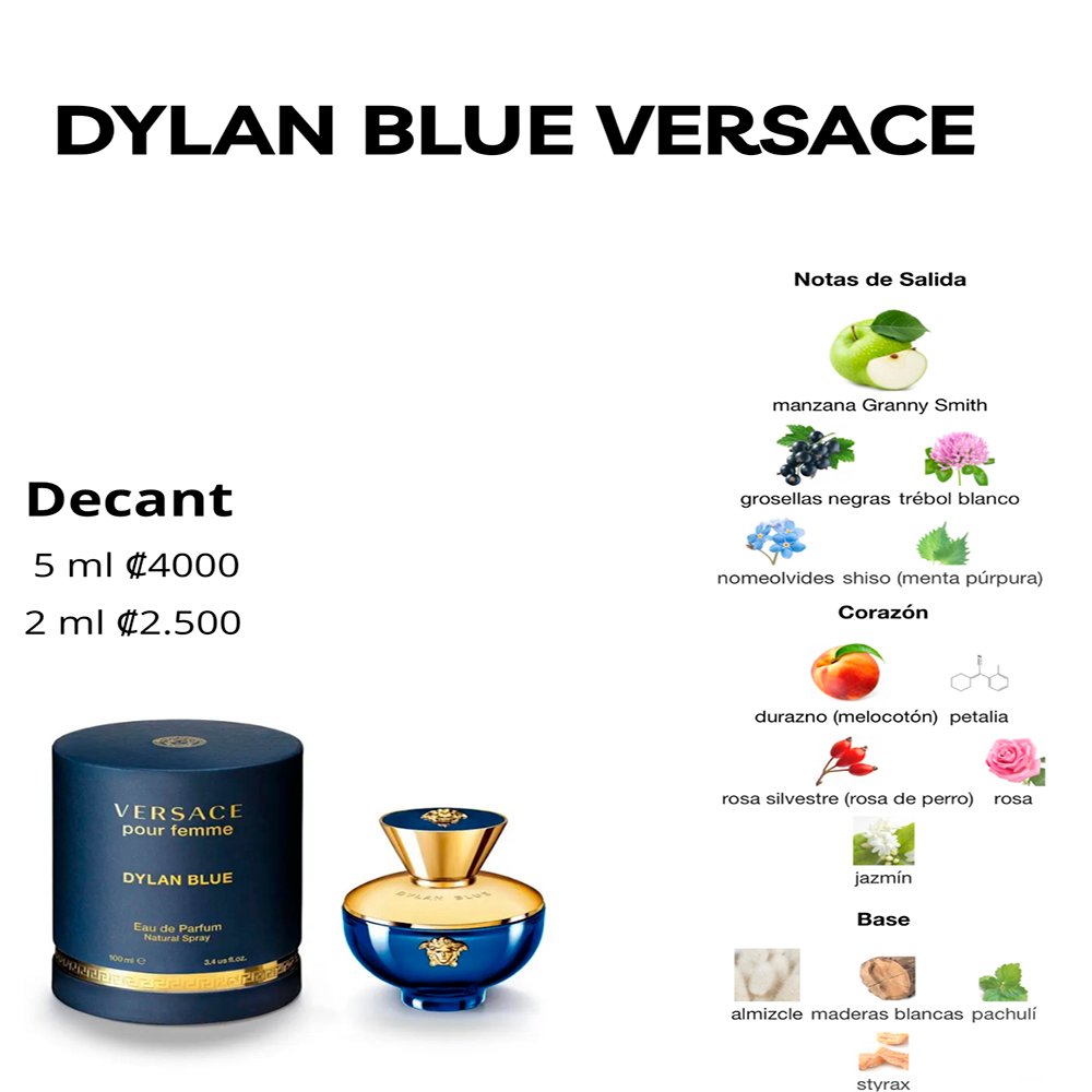 Perfil olfativo de DYLAN BLUE VERSACE POUR FEMME