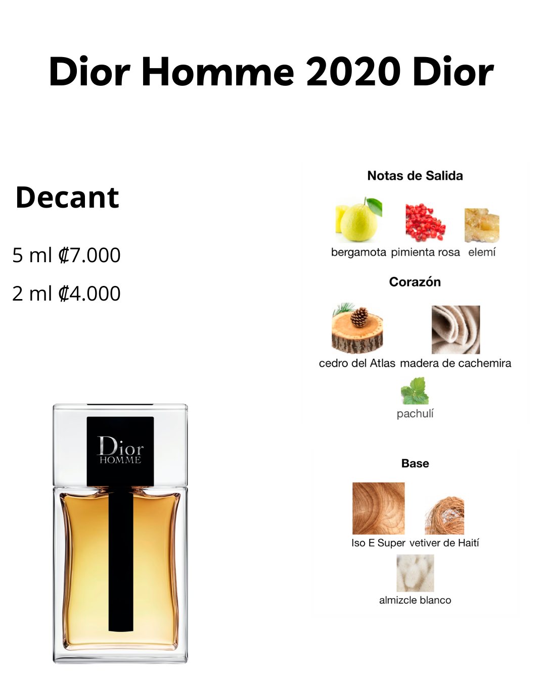 Perfil olfativo de Dior Homme 2020 Dior