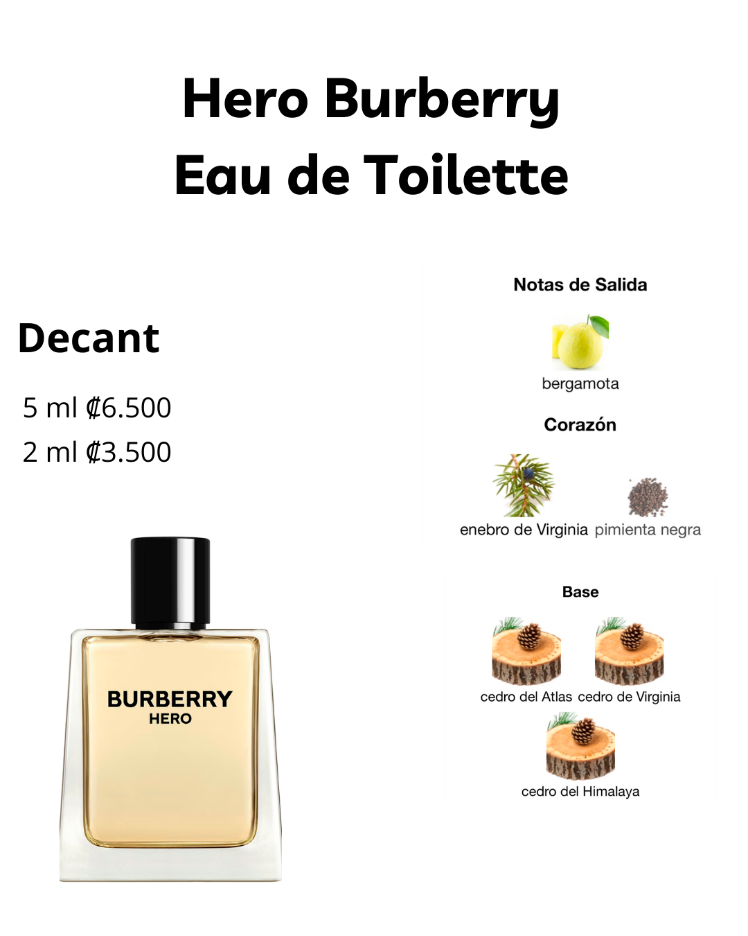 Perfil olfativo de Hero Burberry Eau de Toilet