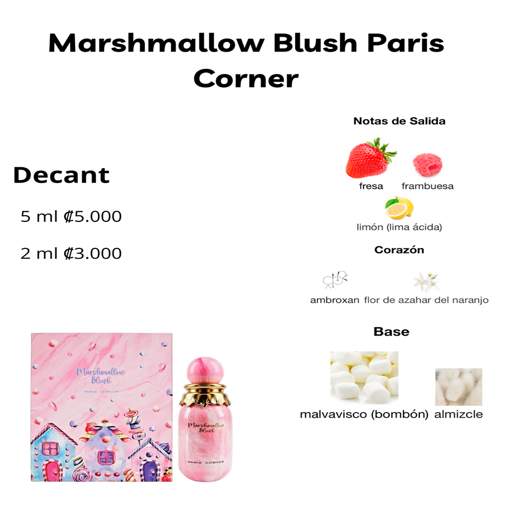 Perfil olfativo de Marshmallow Blush Paris Corner