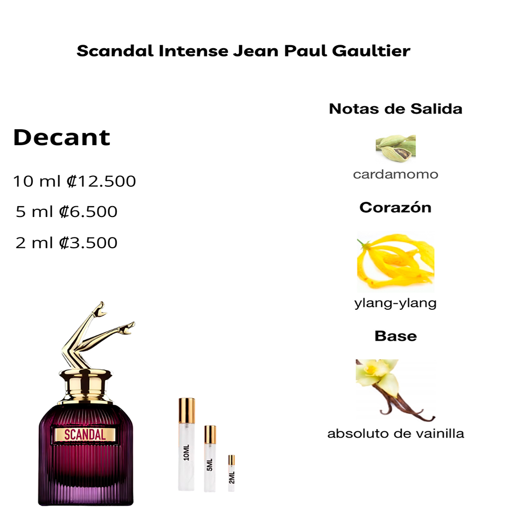 Perfil olfativo de Scandal Intense Jean Paul Gaultier