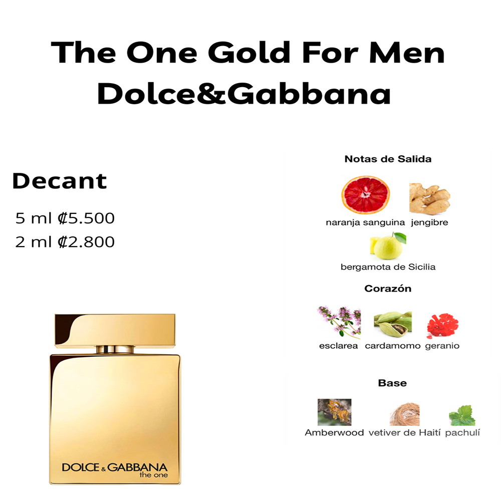 Perfil olfativo de The One Gold For Men Dolce&Gabbana