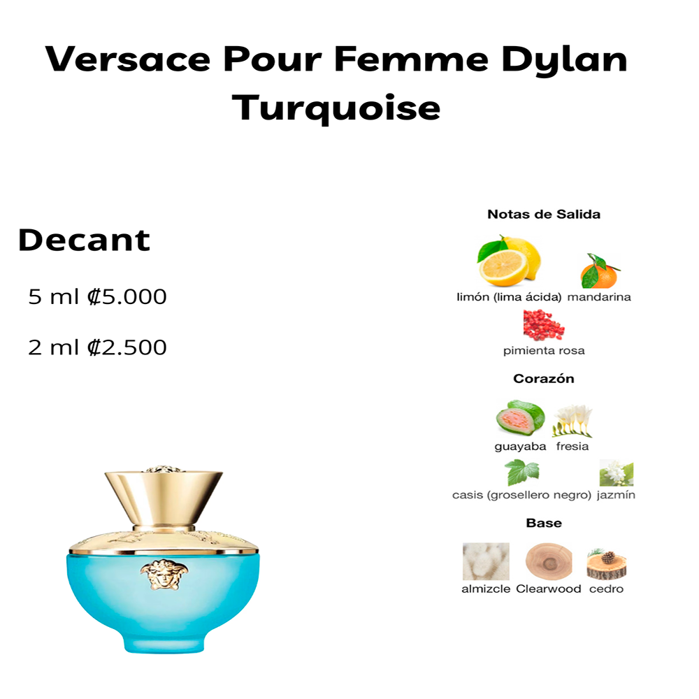 Perfil olfativo de Versace Pour Femme Dylan Turquoise