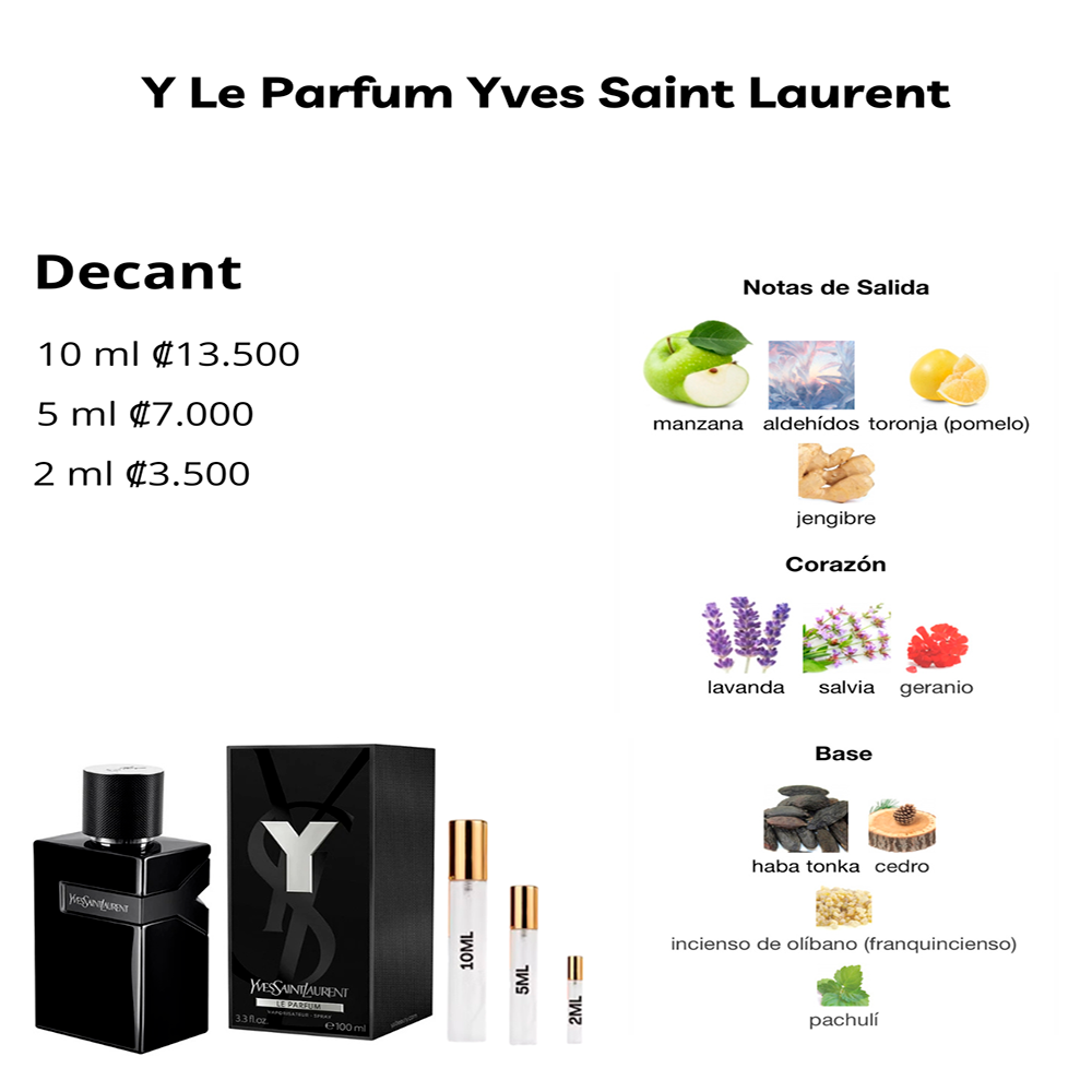 Perfil olfativo de Y Le Parfum Yves Saint Laurent