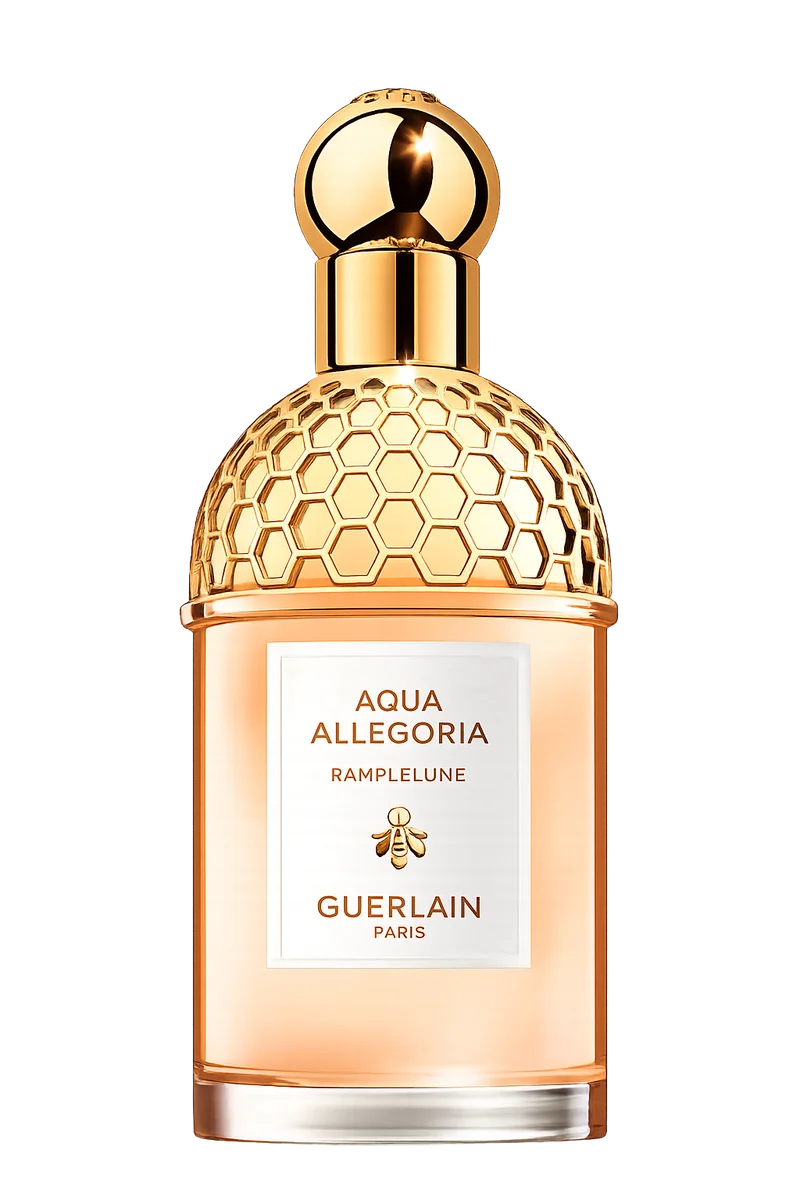 Aqua Allegoria Pamplelune