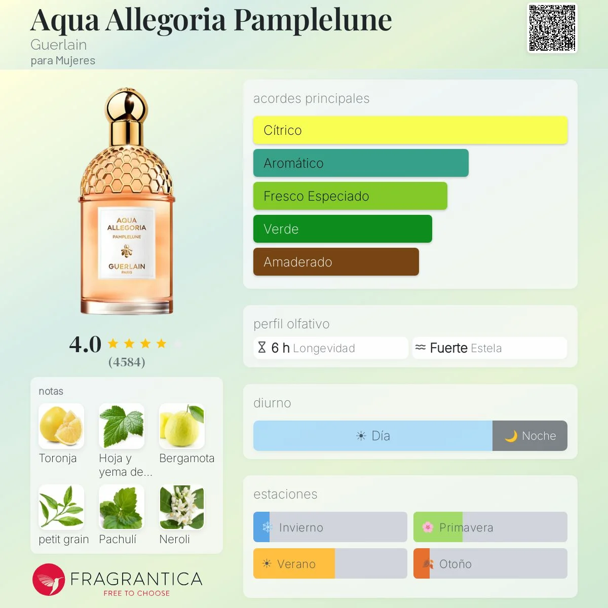 Perfil olfativo de Aqua Allegoria Pamplelune