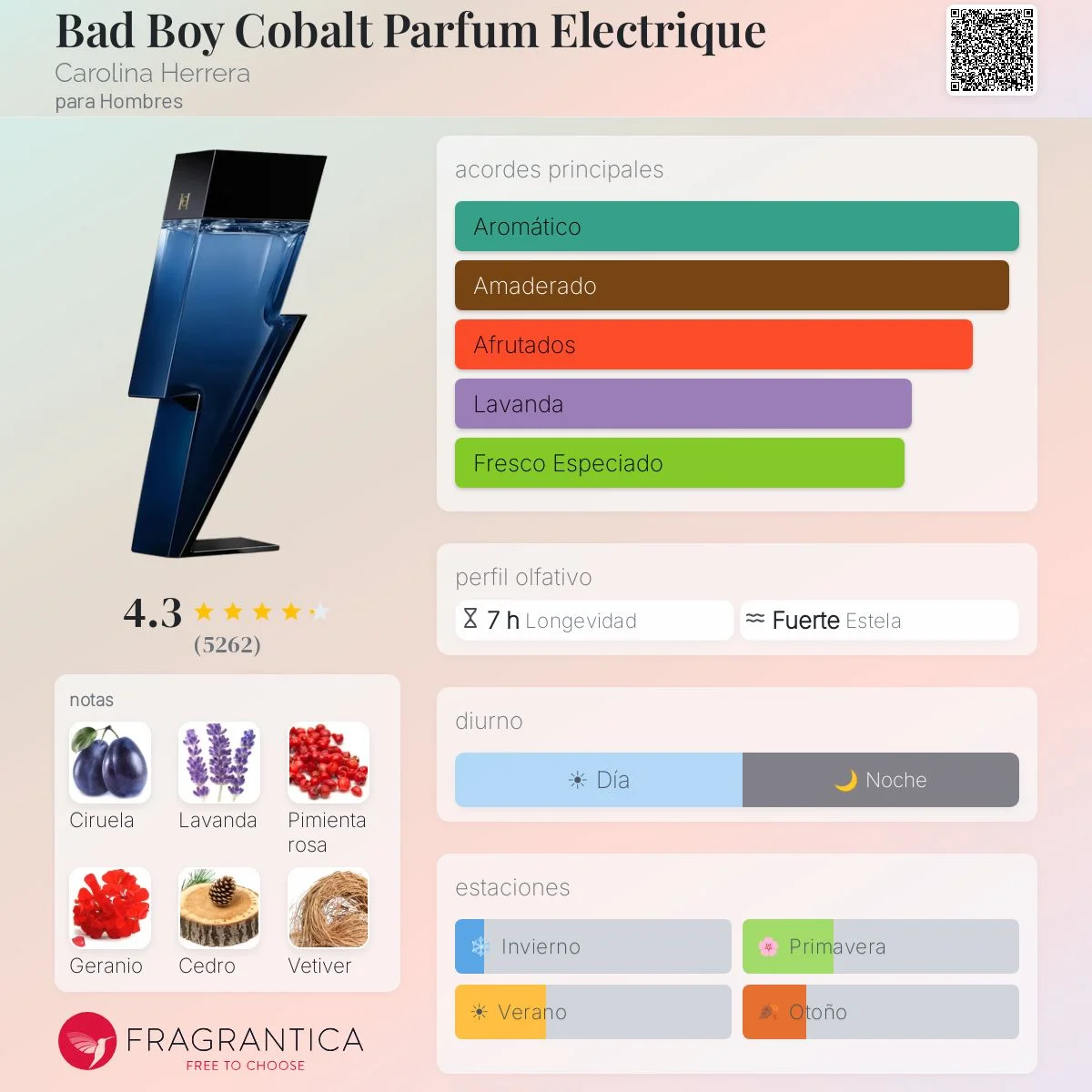 Perfil olfativo de Bad Boy Cobalt Parfum Electrique