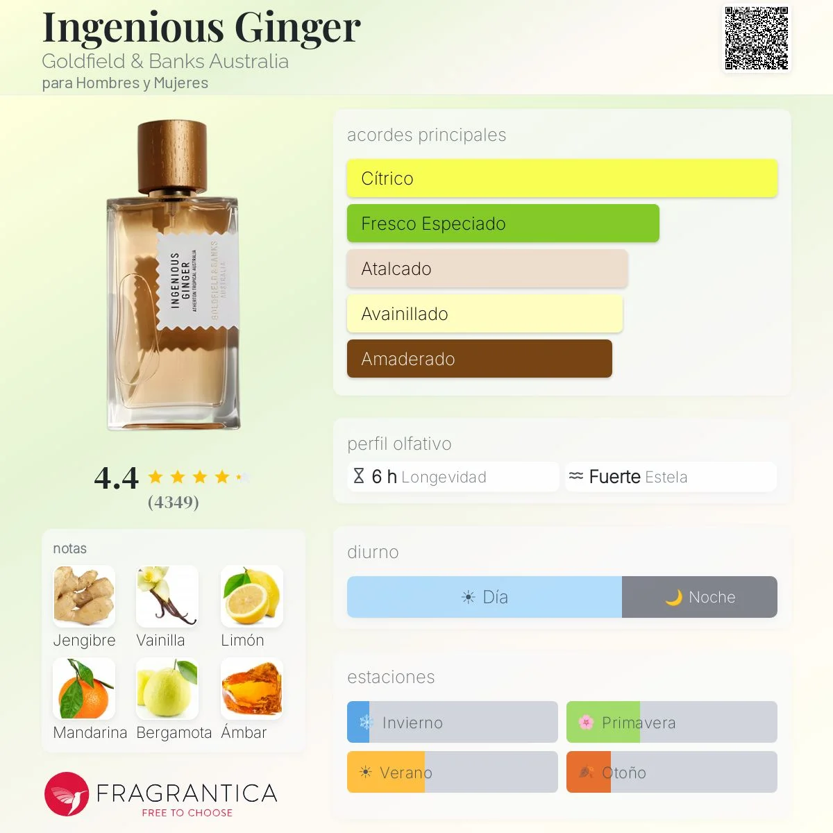 Perfil olfativo de Ingenious Ginger